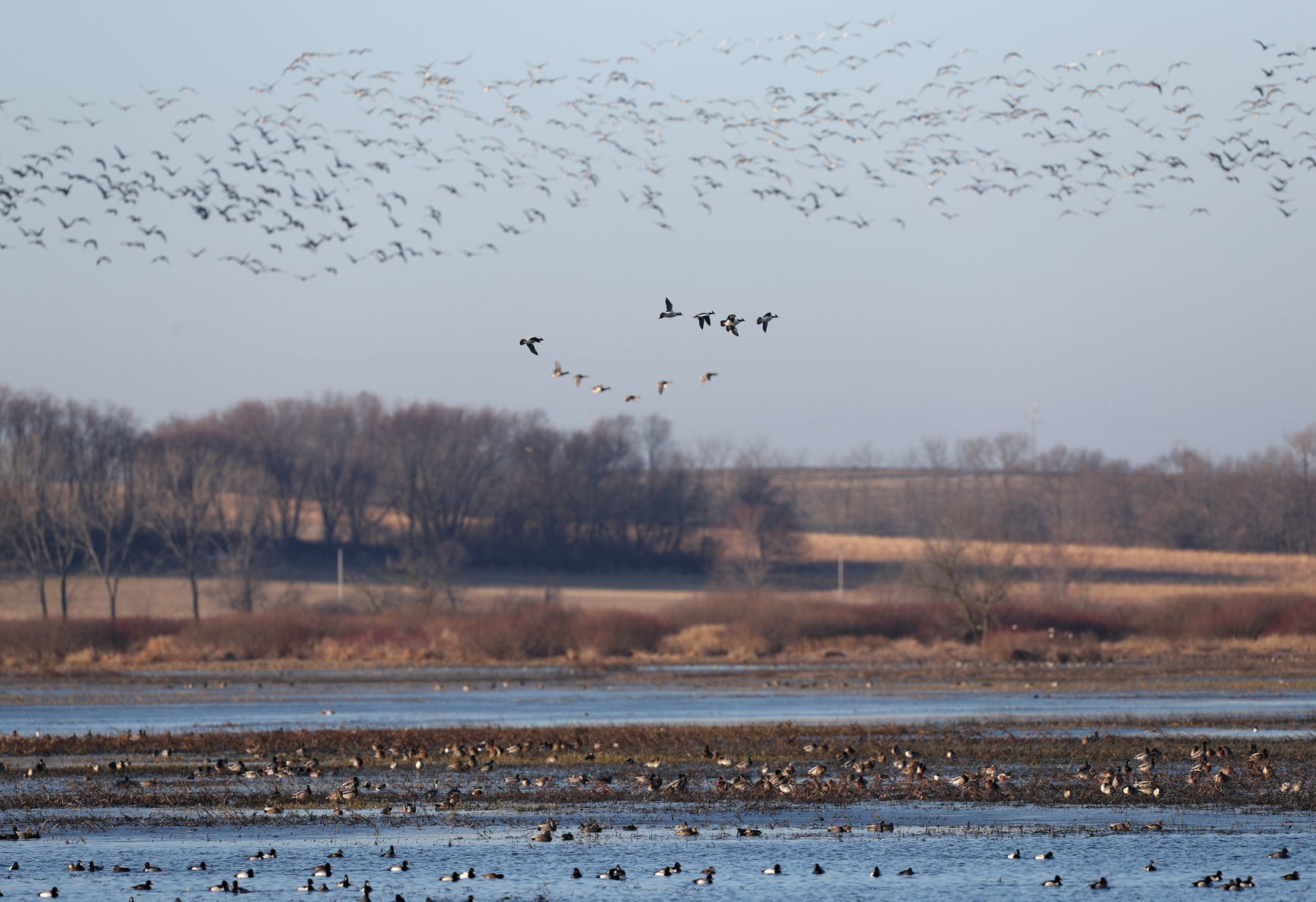 031020bp-wild-art-big-marsh-08